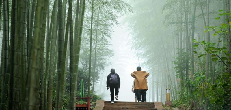 游客在赤水竹海國家森林公園里觀光（2018年10月24日攝）。