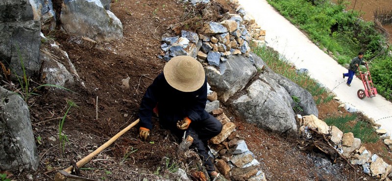 圖為曾付學在門前荒山上造地。